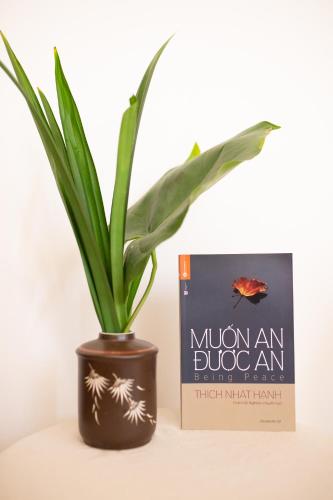 a plant in a pot next to a book at Tâm Homestay in Hue