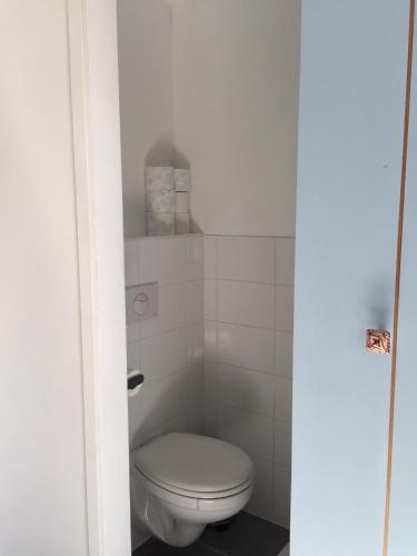 a bathroom with a toilet in a small room at De Vuurdoorn in Bergen