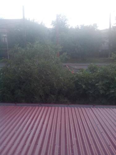 Imagen de la galería de malu, en Kutaisi