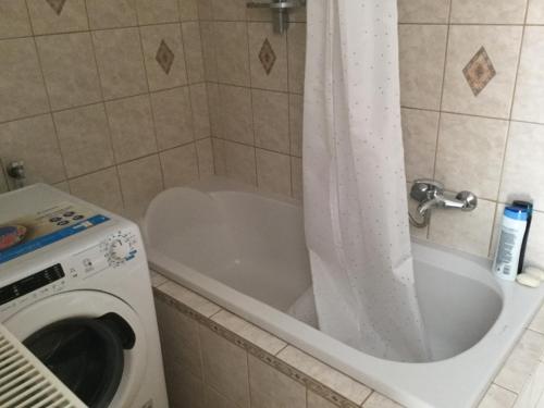 a washing machine and a tub in a bathroom at JUDIA in Litomyšl