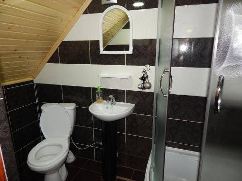 a bathroom with a toilet and a sink at Відпочинок у Євгена та Оксани in Yaremche