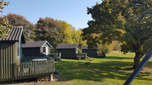 a group of cottages in a yard with a tree at Nexø Camping & Cabins in Neksø