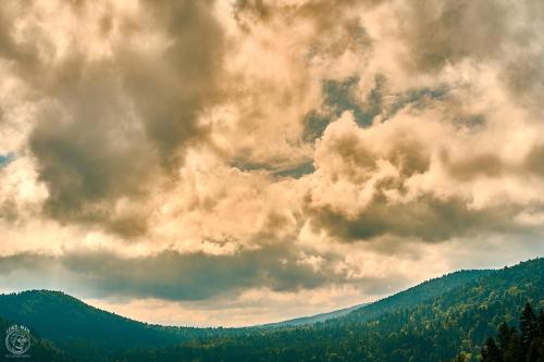 a cloudy sky with trees on a mountain at Osada Chyże Jewki in Cisna