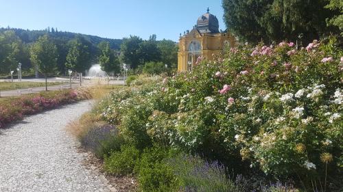 a garden with flowers and a building in the background at Apartmán U kolonády in Mariánské Lázně