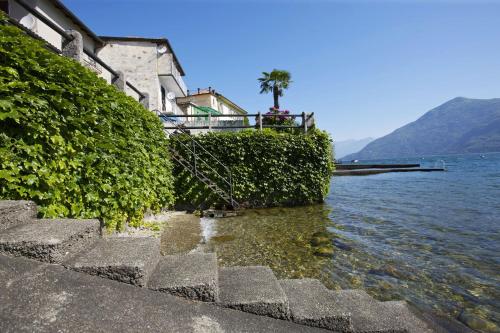 a group of bushes next to a body of water at Rustico alla Spiaggia in Carmine