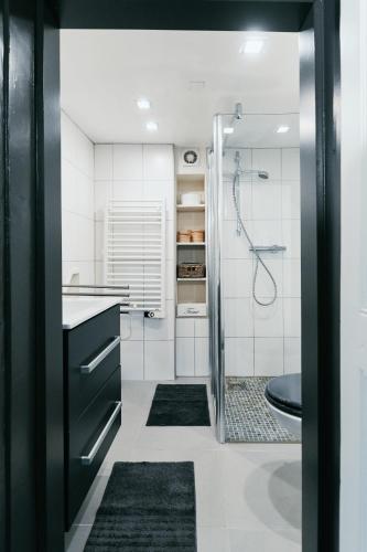 a bathroom with a shower and a sink and a toilet at Le Petit Gretedar in Malmedy
