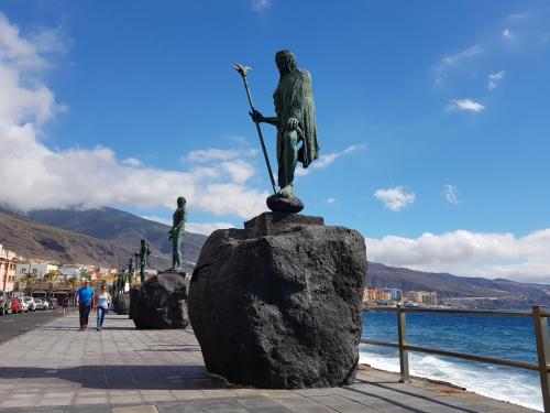 a statue of a man on a rock next to the water at THE POPPIES Guest House - 100m Ocean - Private Spaces in Candelaria