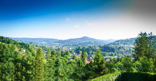 a view of a valley with trees and houses at Villa Brody in Wisła