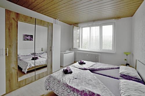 a bedroom with two twin beds and a mirror at apartmány 2+1 u Klínovce in Kovářská