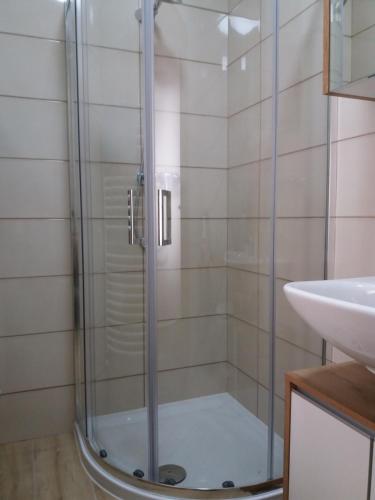 um chuveiro com uma porta de vidro ao lado de um lavatório em Nono Marjo em Bovec