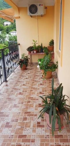 a patio with potted plants and a table at Yellow House - Vaja in Sarpi
