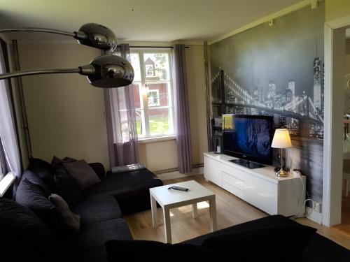 a living room with a couch and a tv at Bröttorp in Fjugesta
