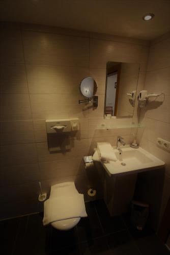 a bathroom with a toilet and a sink at Lärchenhof in Steeg