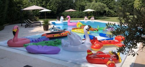 ein Pool mit vielen verschiedenen Arten aufblasbarer Spielsachen in der Unterkunft Relais Corte Bercelli in Valeggio sul Mincio