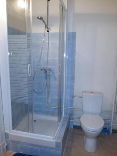 een badkamer met een toilet en een glazen douche bij Quai de l ' Arnette in Mazamet