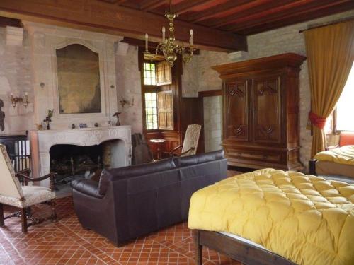 a living room with a couch and a fireplace at Le Claveau in Paulnay