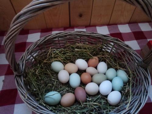 a basket full of eggs sitting on a table at Agritur Airone Bed & Camping in Levico Terme