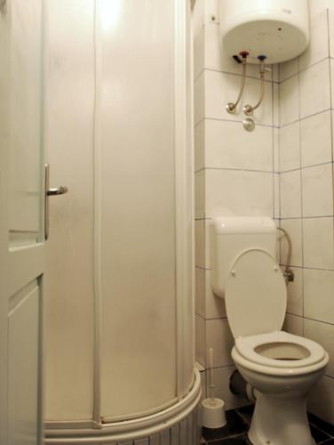 a small bathroom with a toilet and a shower at Apartments Martina Brist in Brist