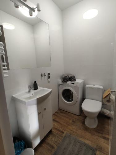 a bathroom with a toilet sink and a washing machine at Loft House in Jelitkowo