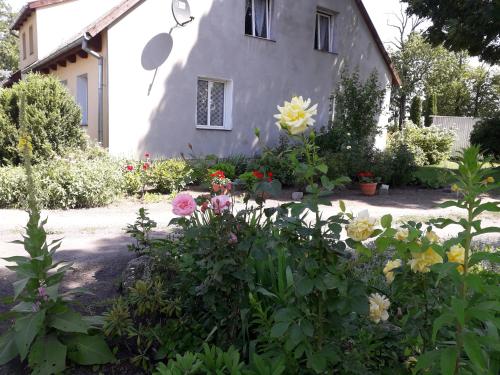 Fotografie z fotogalerie ubytování Apartamenty Stajni Jazon Malbork v destinaci Malbork