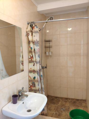 a bathroom with a sink and a shower at Guest House Panorama in Malorechenskoye