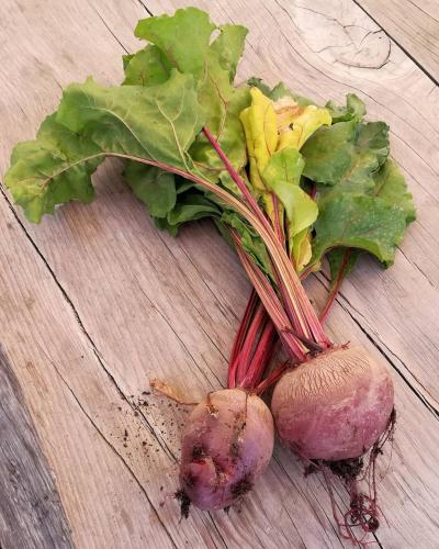 a group of vegetables on a wooden table at Limarò B&B in Sarche di Calavino