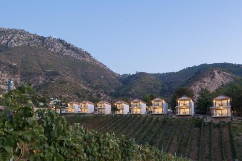 a row of houses in a vineyard in a mountain at Gillham Vineyard Hotel in Temblos