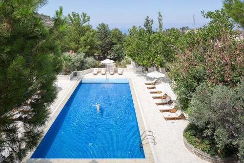 a person swimming in a pool with chairs and trees at Gillham Vineyard Hotel in Temblos