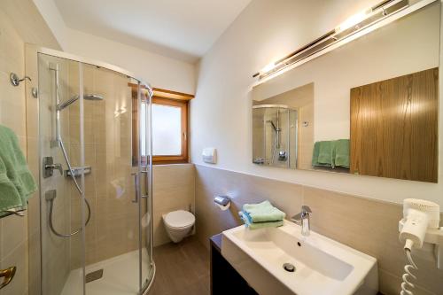 思科納的住宿－Residence Krone，一间带水槽、淋浴和卫生间的浴室