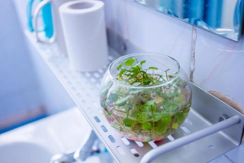 a bowl of vegetables on a shelf in a refrigerator at Murphy Youth Hostel Guilin桂林北站莫非青年旅舍 in Guilin