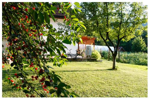 a tree with red berries on it in a yard at Holiday Residence Burić in Visoko