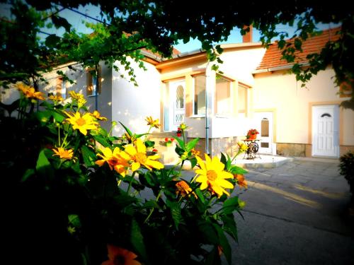 a bunch of yellow flowers in front of a house at Boutique Vendégház Vidéki Idill Noszvaj in Noszvaj