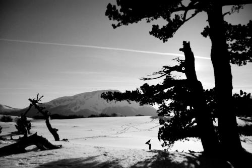 a person standing in the snow next to a tree at Tana Libera Tutti 3 Nature, Yourself, Love in Viggianello