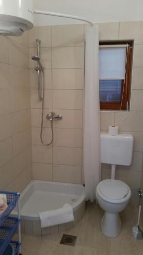a bathroom with a tub and a toilet and a shower at Apartman Ivanica in Jezera