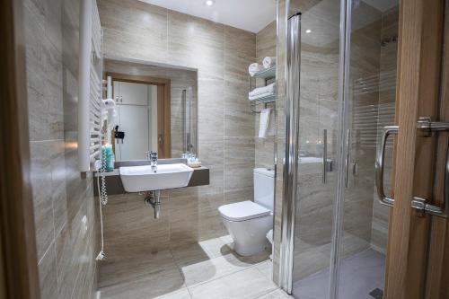 a bathroom with a toilet and a sink and a shower at Hotel Victor in Rialp