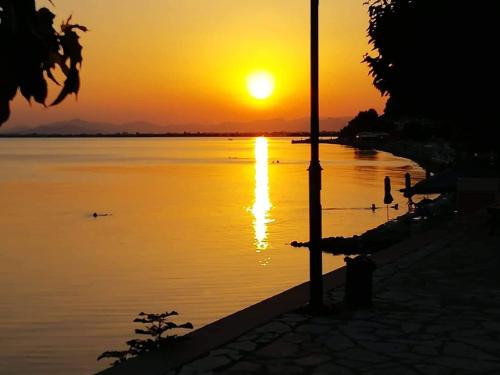 a sunset over a body of water with ducks in it at Delfini Hotel in Menídion