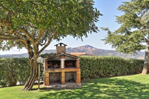 a small house in a yard with a tree at I SALICI in Capoliveri