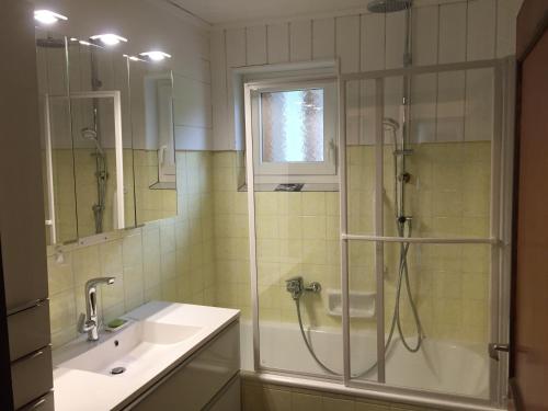 a bathroom with a shower and a sink at Ferienwohnung Trattnig in Gassen