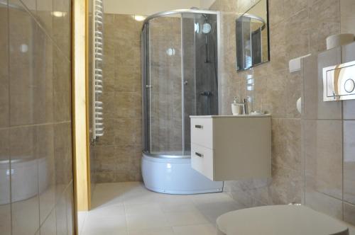 Un baño con ducha, inodoro y lavabo. en Agroturystyka Królowo, en Tylmanowa