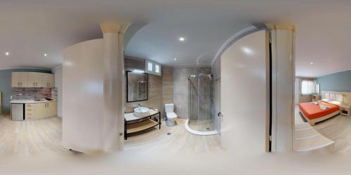 a large room with a bathroom and a bedroom at ANGELA STUDIOS in Parga