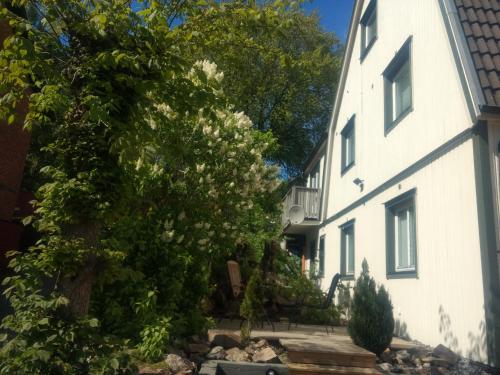 a tree in front of a white building at Villa Kungssten in Gothenburg