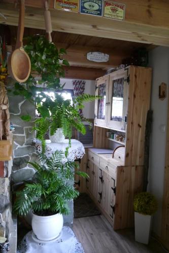 uma casa de banho com vasos de plantas e um lavatório em Leśniakówka 693-664-683 em Solina