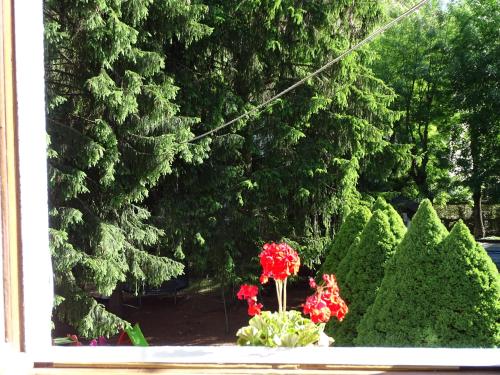a window with a bunch of flowers in a vase at Pensione Bianca in Bardonecchia