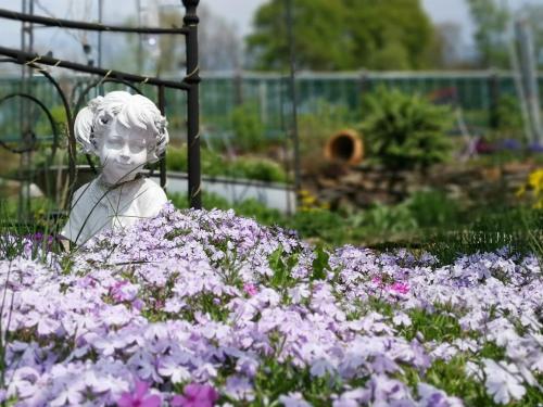 a statue in a garden with purple flowers at Im Erzgebirge Wandern, Fahrrad fahren oder entspannen in Ehrenfriedersdorf