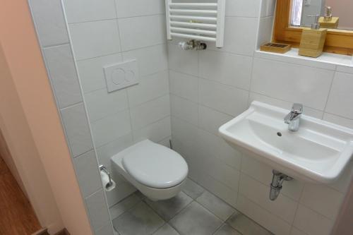 a white bathroom with a toilet and a sink at Haus Erli in Mittenwald