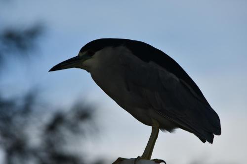 Pousada Barra Sul – Photos 4