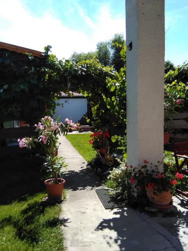 a garden with potted plants and a pillar with a pathway at Czakó Vendégház és Nyaralóudvar in Szilvásvárad