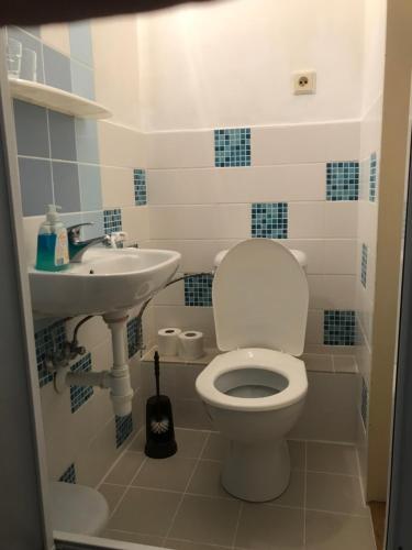 a bathroom with a toilet and a sink at Hotel Chata in Volary
