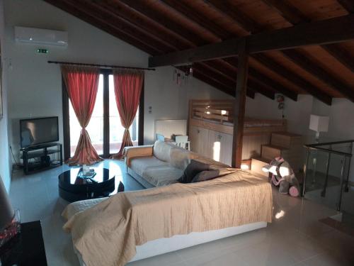 a living room with a bed and a couch at Le Attique in Iraklitsa