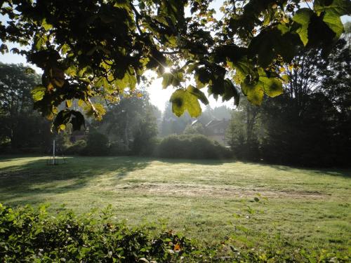 a field of grass with the sun in the background at Pension MAX in Pernink